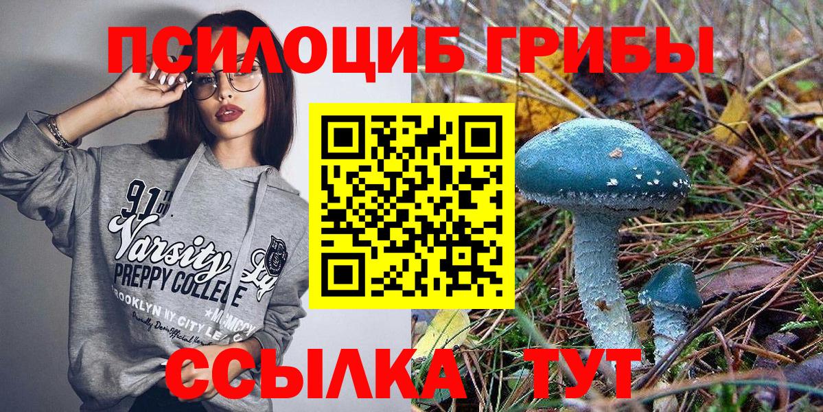 Псилоцибиновые грибы мицелий Прокопьевск