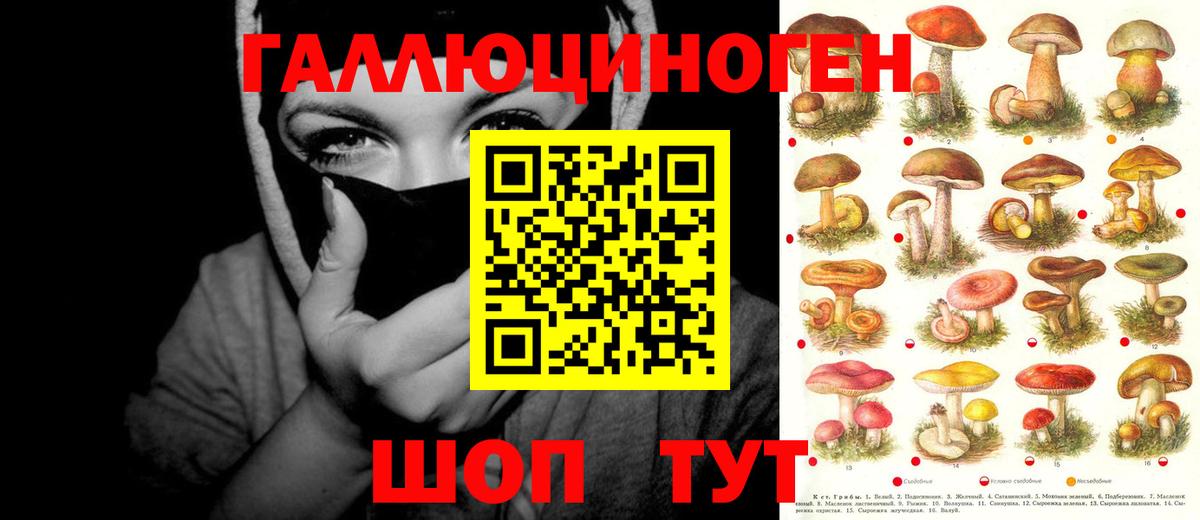Прокопьевск  Псилоцибиновые грибы Cubensis  Галлюциногенные грибы Cubensis  Вход с VPN 